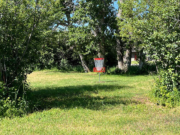 Discgolf3 web