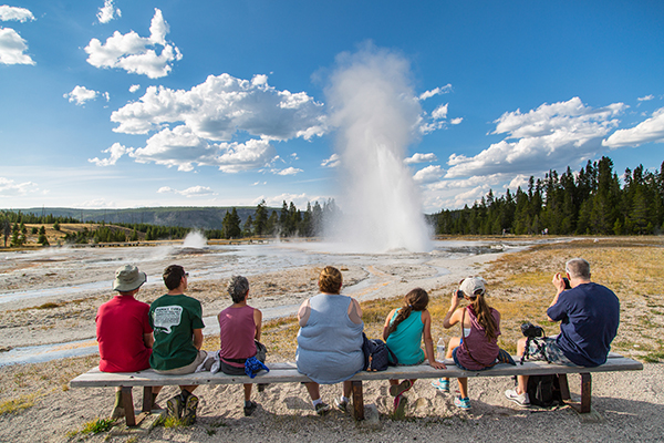 Yellowstone NealHerbert