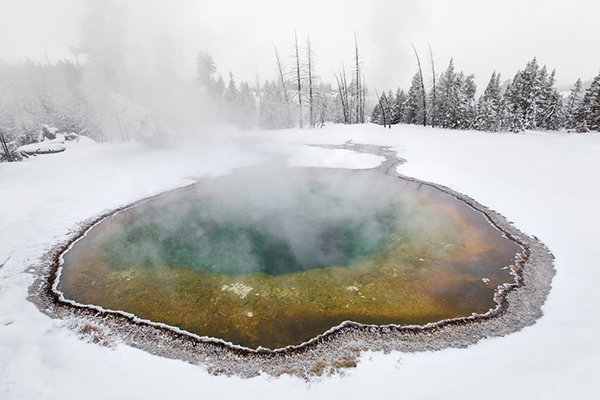 geyser NealHerbert