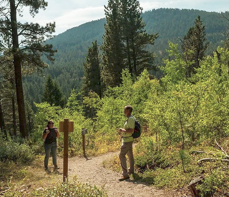 GreaterRL trail1