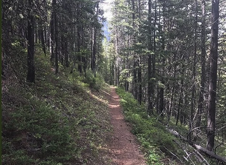 MainFork trails 1