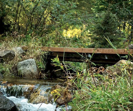 WestFork trail 1