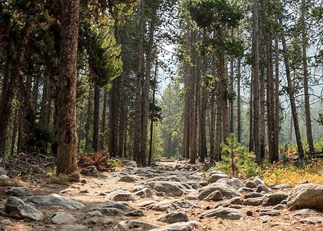 WestFork trails 2