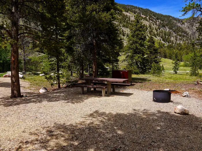 limberpine camp 2