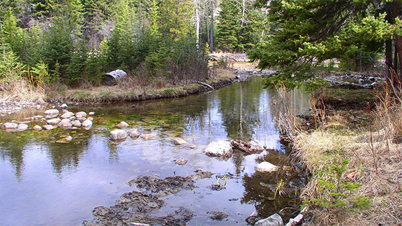sheridan camp 2